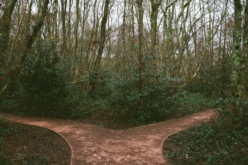 Headway, Alma, and Grow Therapy vs. Your Own Practice: The Honest Math