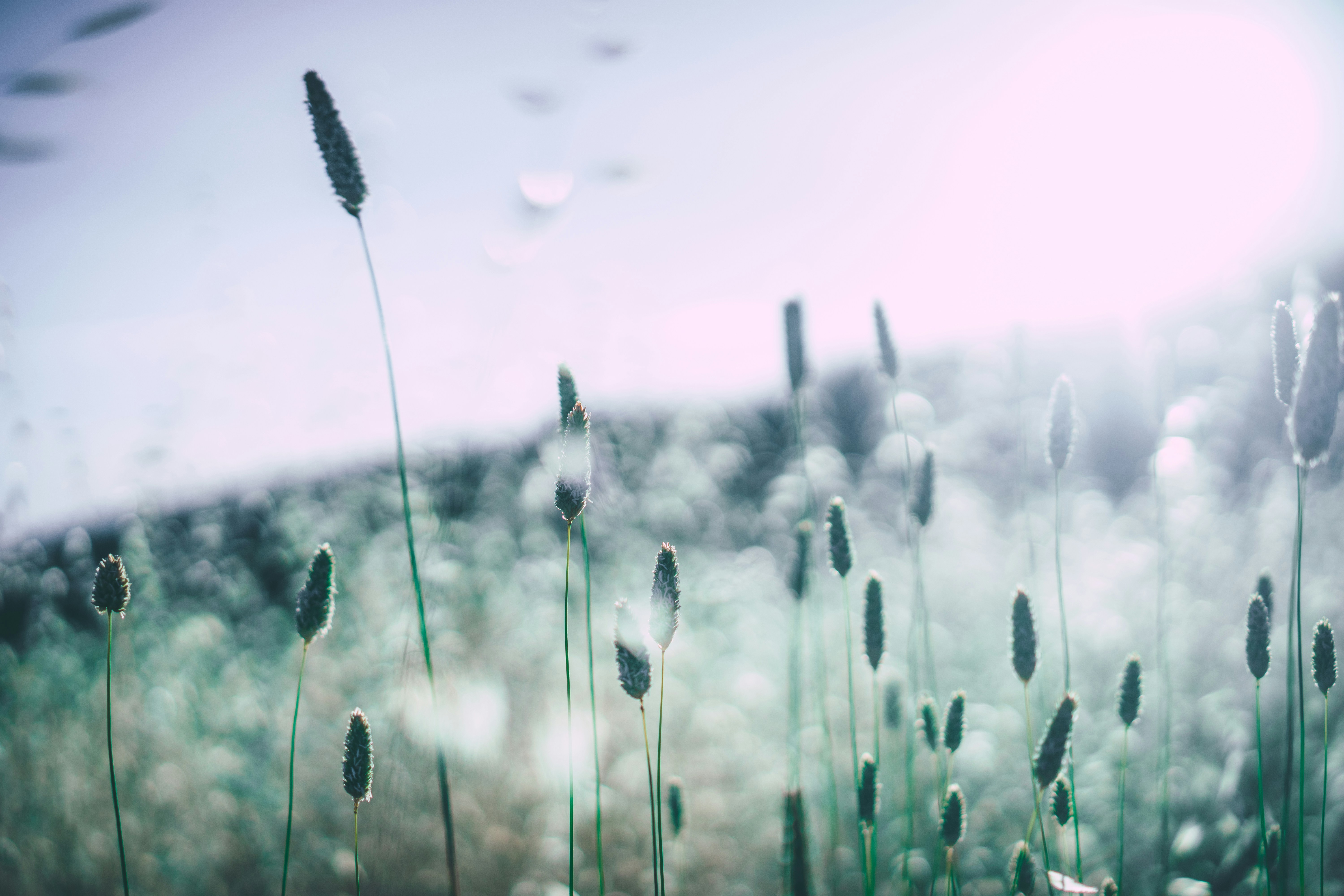 HIPAA-Compliant Documentation: What Every Therapist Needs to Know